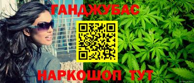крисы Кунгур