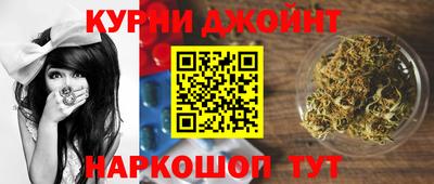 крисы Кунгур
