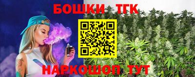 крисы Кунгур