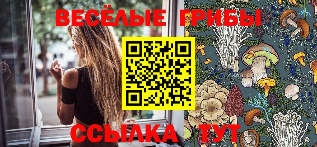 Иваново  Псилоцибиновые грибы Psilocybine cubensis  Вход с VPN  Галлюциногенные грибы мицелий 